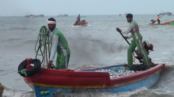 POOMPUHAR, INDE - 12 NOVEMBRE 2015 : Les pêcheurs sortent des paniers de poisson du bateau et les trient en boîtes . — Video