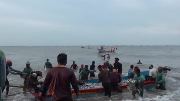 Poompuhar, 印度-2015年11月12日: 渔民从船上拉出篮子的鱼, 并排序成盒. — 图库视频影像