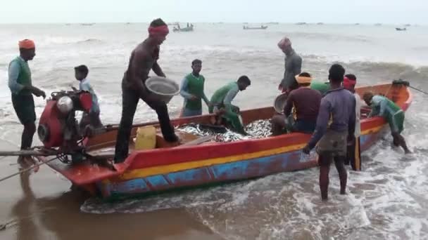 Poompuhar, Indien - 12 November 2015: Fiskare dra ut korgar av fisk från båten och sortera det i lådor. — Stockvideo