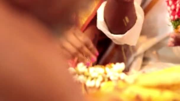 Cerimônia de casamento tradicional hindu — Vídeo de Stock