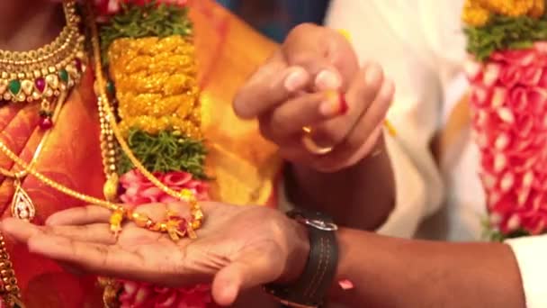 Традиційна індуська церемонія весілля. — стокове відео