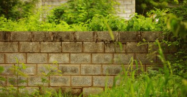 Bir tuğla duvar, yeşil çim ve ağaçların arka plan üzerinde dekoratif Bahçe.