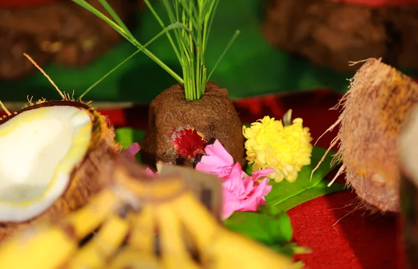 Ritual de boda indio con plátano y coco — Foto de Stock