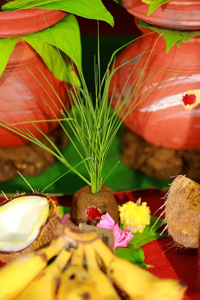 Ritual de boda indio, coco, plátano y flores —  Fotos de Stock