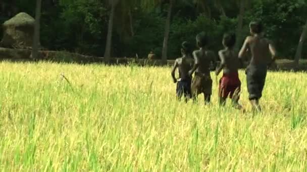 印度-2018年3月28日: 一群在田野上奔跑和玩耍的孩子们. — 图库视频影像