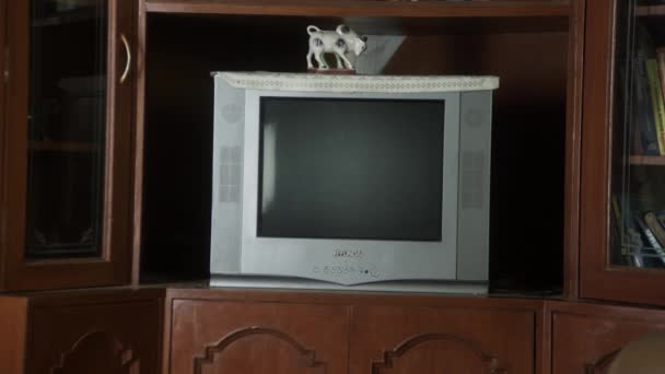Fernseher im Wohnzimmer — Stockvideo