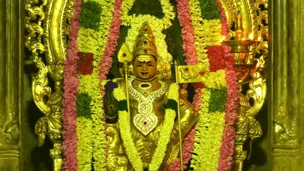 Gente hindú haciendo Puja para orar por Dios en el Templo Murugan — Vídeo de stock