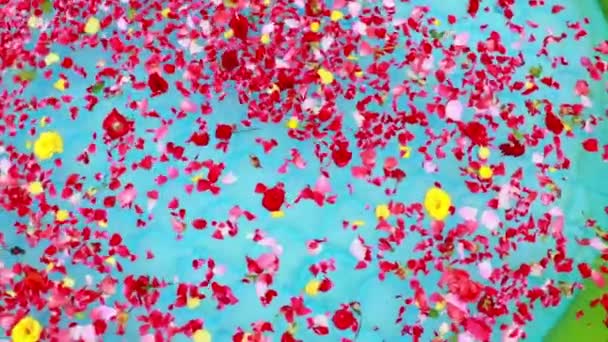 Water tub with petals of red and yellow roses — Stock Video