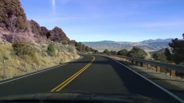 Exceso de velocidad a través del bosque desierto — Vídeo de stock