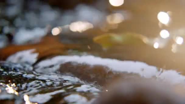 Detalle de los flujos de agua a través de la piedra — Vídeos de Stock