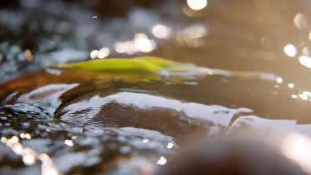 Bokeh achtergrond soft-focus wazig natuurlijk water rivier — Stockvideo