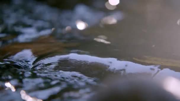 Close-up water vallen in het bos natuur achtergrond — Stockvideo