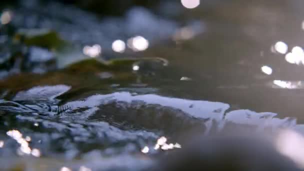 Крупный план реки между камнями в лесу - подробности текущей воды — стоковое видео