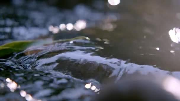 Closeup of river between stones in forest - detail of flowing water — Stock Video