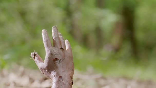 Konzept Treibsand - Menschenhand, die aus dem Sumpf ragt. Die Hand eines Ertrinkenden versinkt im Wasser, Konzept einer verschuldeten Person, die sich nicht selbst helfen kann — Stockvideo