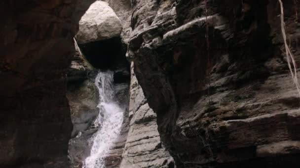 Waterfall River Flowing in Mountain Forest — Stock Video