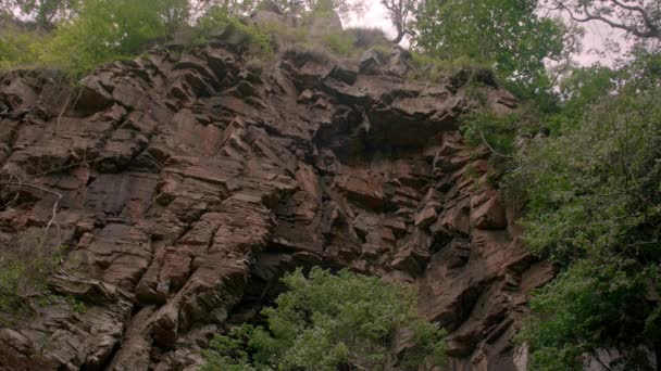 Mountain section of a wall in the forest, — Stock Video