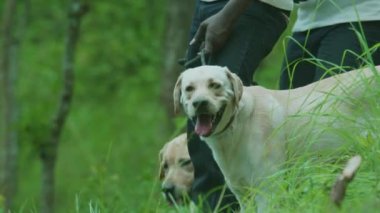 Ormanda köpek zincirini polis tutuyor.