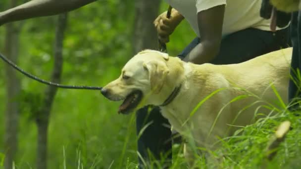 Поліцейський тримає ланцюг собаки в лісі — стокове відео