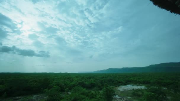 Vista aérea del bosque verde desde arriba — Vídeos de Stock