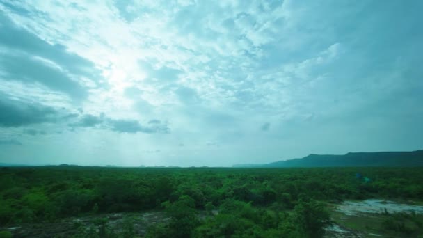 Luftaufnahme des grünen Waldes von oben mit Sonnenstrahlen — Stockvideo