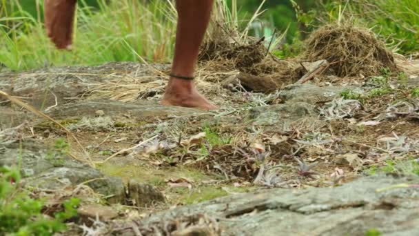 Pieds nus de l'homme courant dans la forêt, pieds nus homme courant montagne — Video
