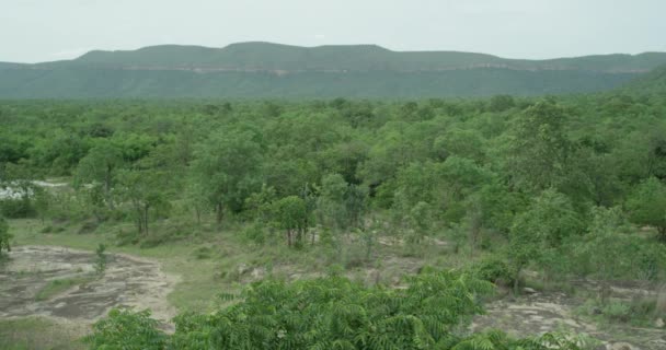 Puncak gunung ditutupi dengan hutan tropis di sebuah pulau tropis . — Stok Video