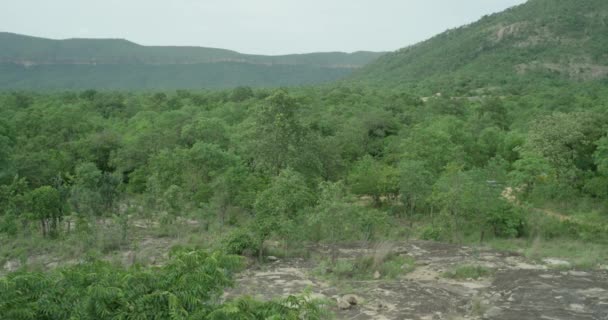 La vista aerea delle montagne copre la foresta pluviale e gli alberi . — Video Stock