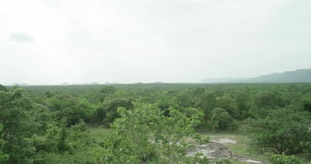 The camera is slowly panning and showing a panoramic view of the a huge mountain range of forests — Stock Video