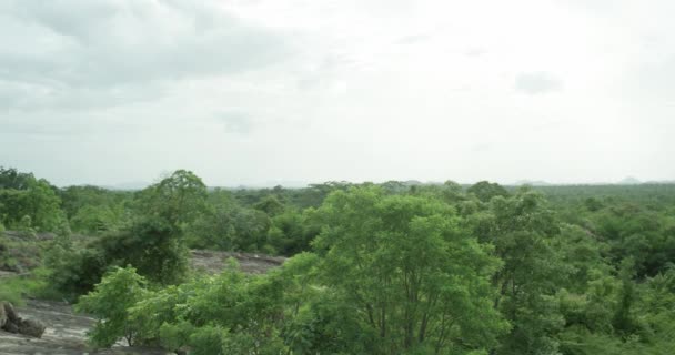 Montagnes végétation tropicale paysages étonnants fond brumeux énormes grands milieux de montagne — Video