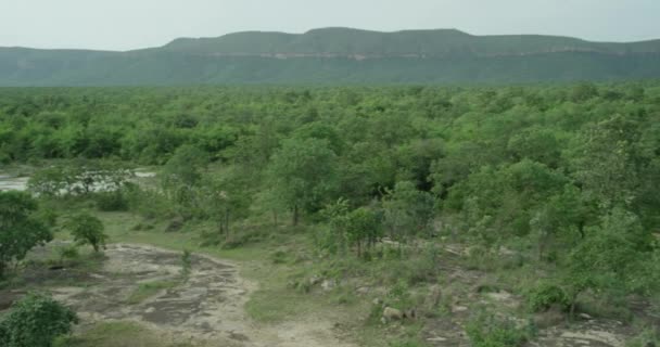 Montanhas vegetação tropical paisagens incríveis fundo enevoado enormes fundos de montanha — Vídeo de Stock