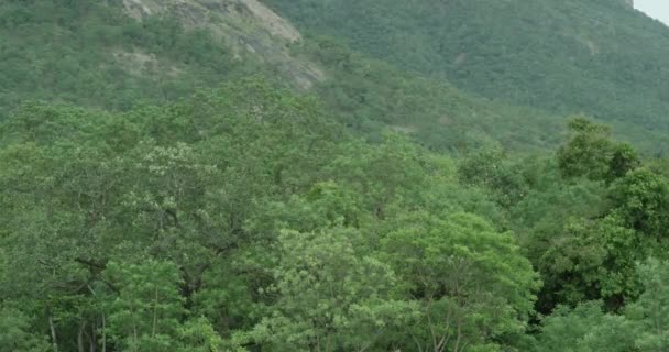 Berg tropisk vegetation fantastiska landskap dimmig bakgrund stora stora berg bakgrunder — Stockvideo