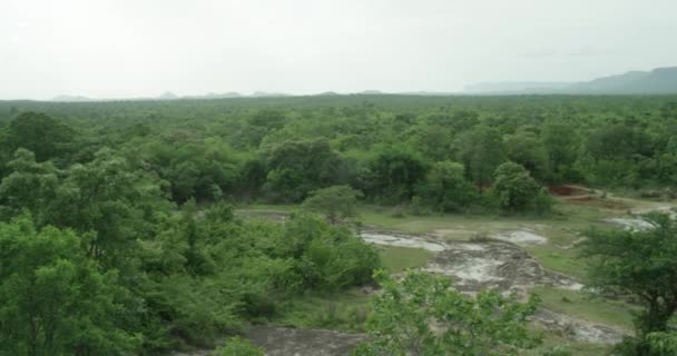 Panorámica lenta y mostrando una vista panorámica de la una enorme cordillera de bosques — Vídeos de Stock