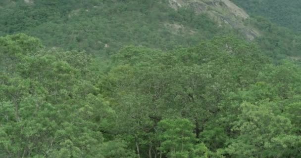 Kamera yavaşça dönüyor ve devasa orman dağlarının panoramik bir görüntüsünü gösteriyor. — Stok video