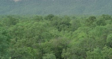 Kamera yavaşça dönüyor ve devasa orman dağlarının panoramik bir görüntüsünü gösteriyor.