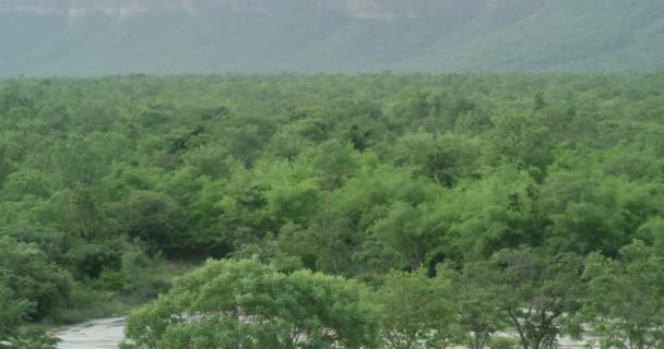 Montagnes végétation tropicale paysages étonnants fond brumeux énormes grands milieux de montagne — Video