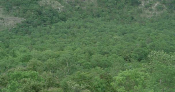 La caméra tourne lentement et montre une vue panoramique sur une immense chaîne de montagnes de forêts — Video