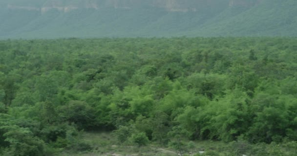 The camera is slowly panning and showing a panoramic view of the a huge mountain range of forests — Stock Video