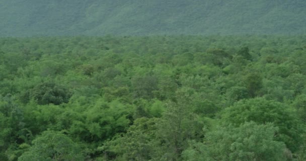 La caméra tourne lentement et montre une vue panoramique sur une immense chaîne de montagnes de forêts 