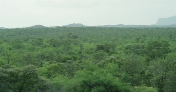 Ormanın arka planındaki yeşil ağaçların havadan görünüşü, kamera yavaş yavaş çekim yapıyor. — Stok video