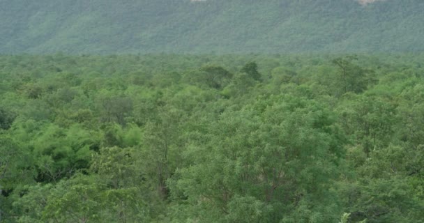 La cámara se abre lentamente y muestra una vista panorámica de la una enorme cordillera de bosques — Vídeos de Stock