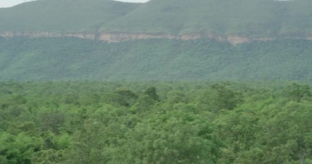 Kameran är långsamt panorama och visar en panoramautsikt över en enorm bergskedja av skogar — Stockvideo