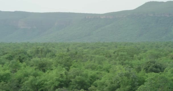 Камера повільно панорамує і показує панорамний вид на величезний гірський масив лісів — стокове відео