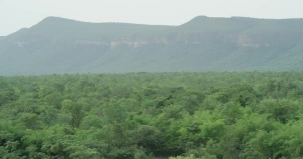 Montagnes végétation tropicale paysages étonnants fond brumeux énormes grands milieux de montagne — Video