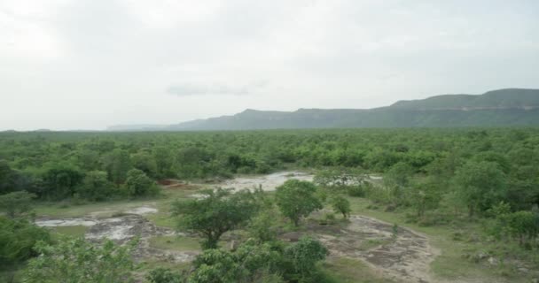 Montagnes végétation tropicale paysages étonnants fond brumeux énormes grands milieux de montagne — Video