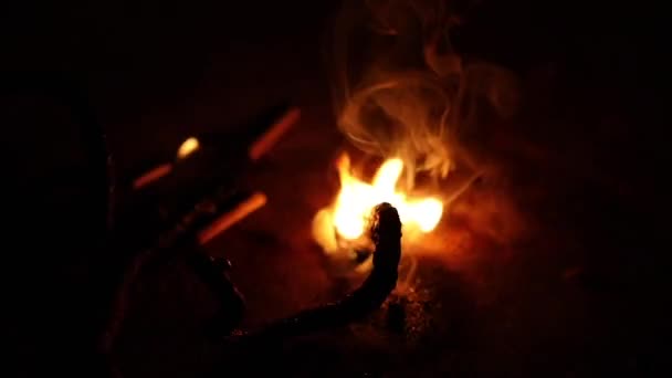 Galletas de gusano de serpiente negra en una habitación oscura, fuegos artificiales que crecen encendido de serpiente de cerca — Vídeos de Stock