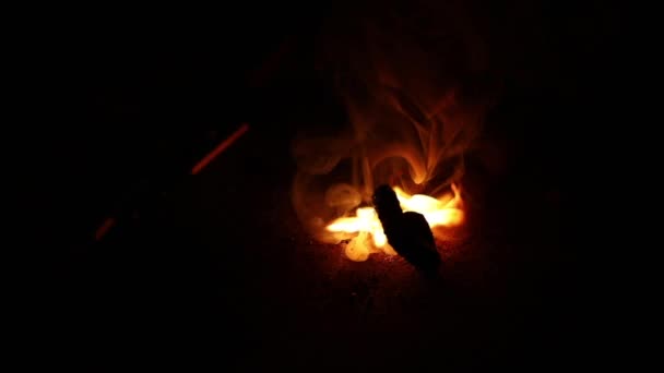 Galletas de gusano de serpiente negra en una habitación oscura, fuegos artificiales que crecen encendido de serpiente de cerca — Vídeo de stock