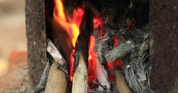 Вогонь і дрова горіння На тлі села — стокове відео