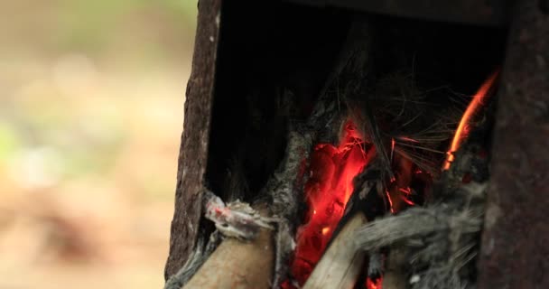 Gros plan Bois brûlé dans le feu, le bois de chauffage est utilisé comme combustible et les villageois cuisinent — Video