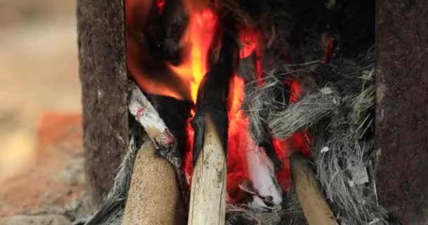 Close-up Hout branden in het vuur, Brandhout wordt gebruikt als brandstof en dorpelingen koken — Stockvideo